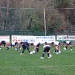 allenamento-8