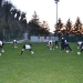 allenamento-9