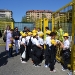 i-pulcini-sono-pronti