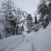 Via dello Stadio, 12 Febbraio 2012