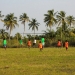 Campo verde